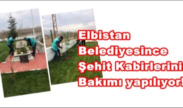 Elbistan Belediyesince Şehit Kabirlerinin Bakımı yapılıyor!