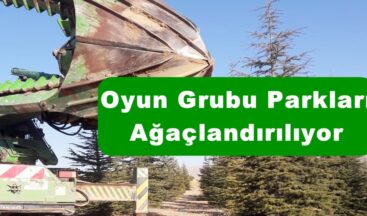 Oyun Grubu Parkları Ağaçlandırılıyor!