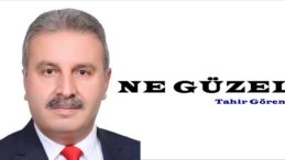 NE GÜZEL