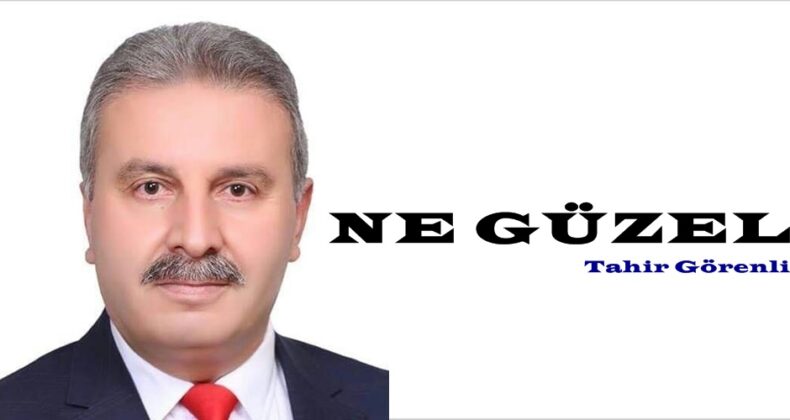 NE GÜZEL