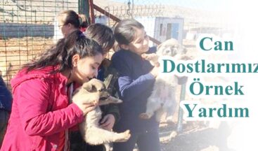 Can Dostlarımıza Örnek Yardım!