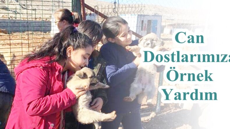 Can Dostlarımıza Örnek Yardım!