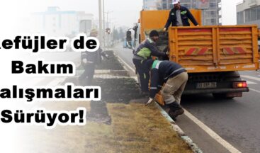 Refüjler de Bakım Çalışmaları Sürüyor!