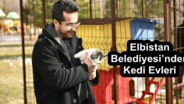 Elbistan Belediyesi’nden Kedi Evleri!