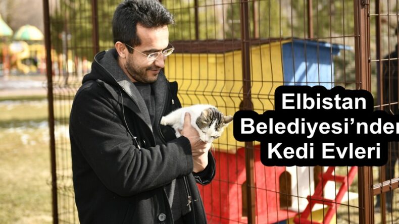 Elbistan Belediyesi’nden Kedi Evleri!