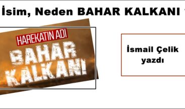 İsim, Neden BAHAR KALKANI ?