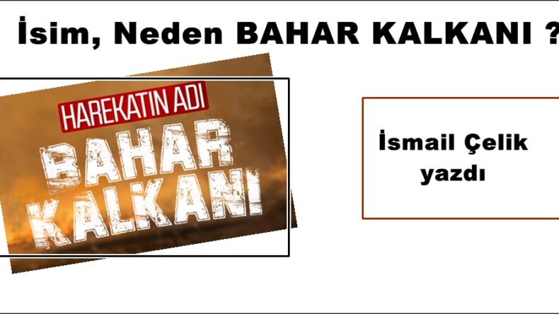 İsim, Neden BAHAR KALKANI ?