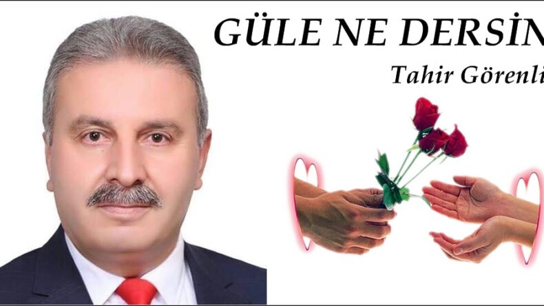 GÜLE NE DERSİN