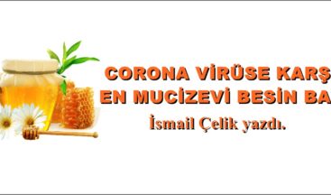 CORONA VİRÜSE KARŞI, EN MUCİZEVİ BESİN BAL!