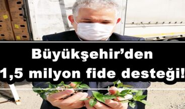 Büyükşehir’den 1,5 milyon fide desteği!