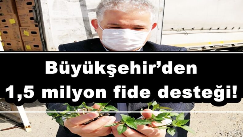 Büyükşehir’den 1,5 milyon fide desteği!