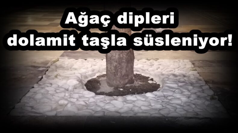Ağaç dipleri dolamit taşla süsleniyor!
