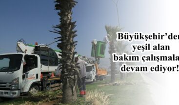 Büyükşehir’den Yeşil Alan atağı!