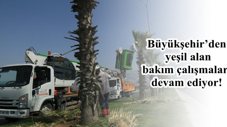 Büyükşehir’den Yeşil Alan atağı!