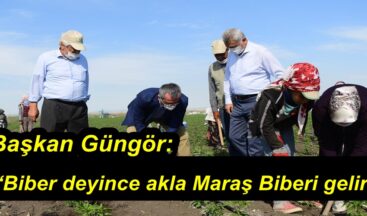 Başkan Güngör: “Biber deyince akla Maraş Biberi gelir”