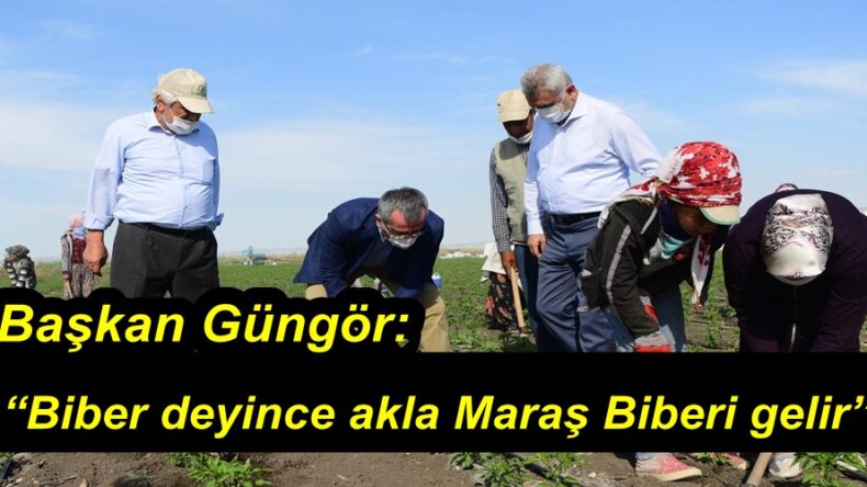 Başkan Güngör: “Biber deyince akla Maraş Biberi gelir”