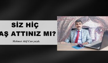 SİZ HİÇ TAŞ ATTINIZ MI?