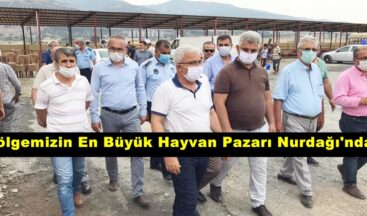 Bölgemizin En Büyük Hayvan Pazarı Nurdağı’nda!