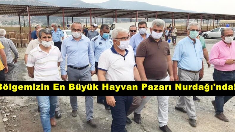 Bölgemizin En Büyük Hayvan Pazarı Nurdağı’nda!