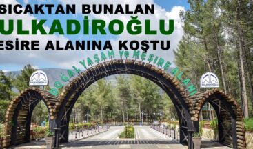 SICAKTAN BUNALAN DULKADİROĞLU MESİRE ALANINA KOŞTU!