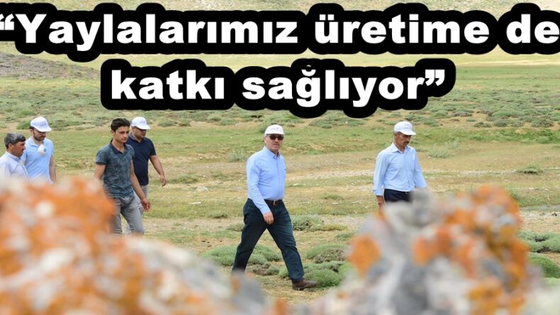 Başkan Güngör: “Yaylalarımız üretime de katkı sağlıyor”