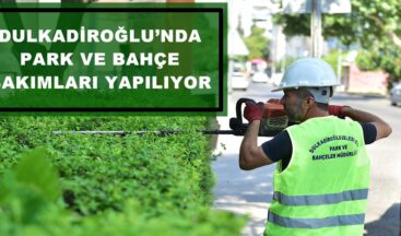 DULKADİROĞLU’NDA PARK VE BAHÇE BAKIMLARI YAPILIYOR!