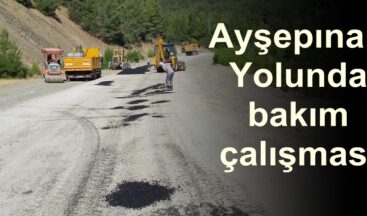 Ayşepınarı Yolunda bakım çalışması.