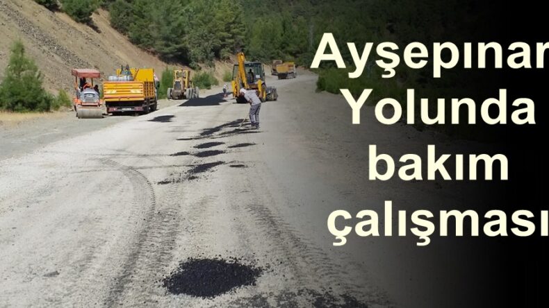 Ayşepınarı Yolunda bakım çalışması.