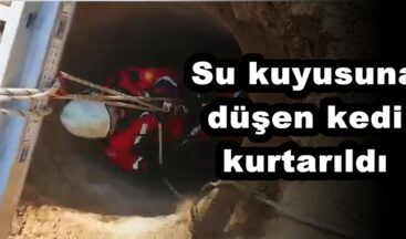 Su kuyusuna düşen kedi kurtarıldı!