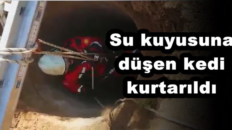 Su kuyusuna düşen kedi kurtarıldı!