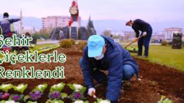 Şehir Çiçeklerle Renklendi