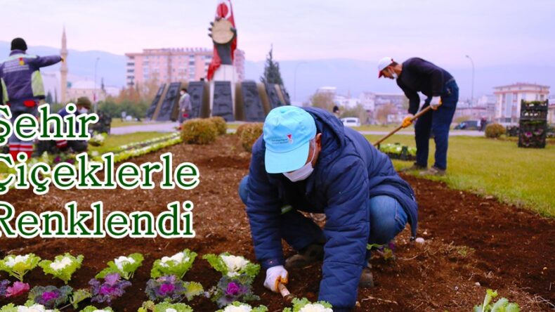 Şehir Çiçeklerle Renklendi