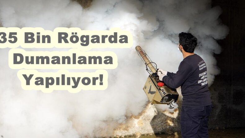 35 Bin Rögarda Dumanlama Yapılıyor!
