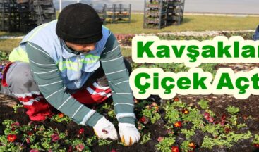 Kavşaklar Çiçek Açtı.