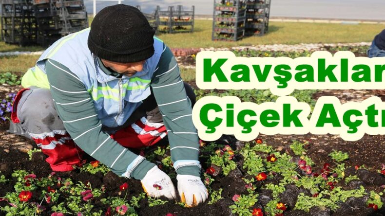 Kavşaklar Çiçek Açtı.