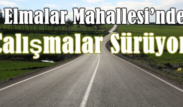 Elmalar Mahallesi’nde Çalışmalar Sürüyor!