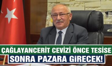 Çağlayancerit Cevizi’nin Katma Değeri Yükselecek!