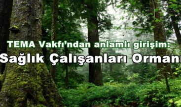 TEMA Vakfı’ndan anlamlı girişim: ‘Sağlık Çalışanları Ormanı’