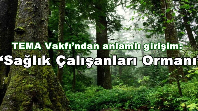 TEMA Vakfı’ndan anlamlı girişim: ‘Sağlık Çalışanları Ormanı’
