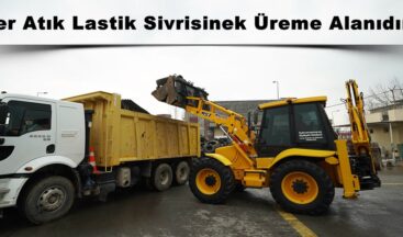 Her Atık Lastik Sivrisinek Üreme Alanıdır!