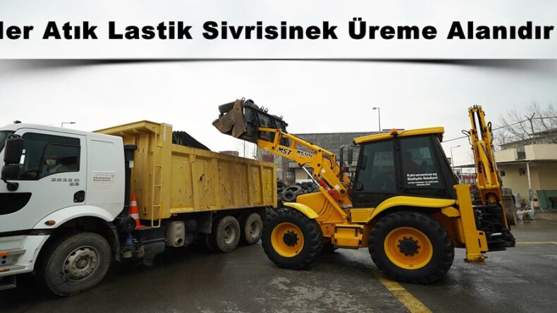 Her Atık Lastik Sivrisinek Üreme Alanıdır!