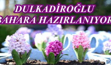 DULKADİROĞLU BAHARA HAZIRLANIYOR