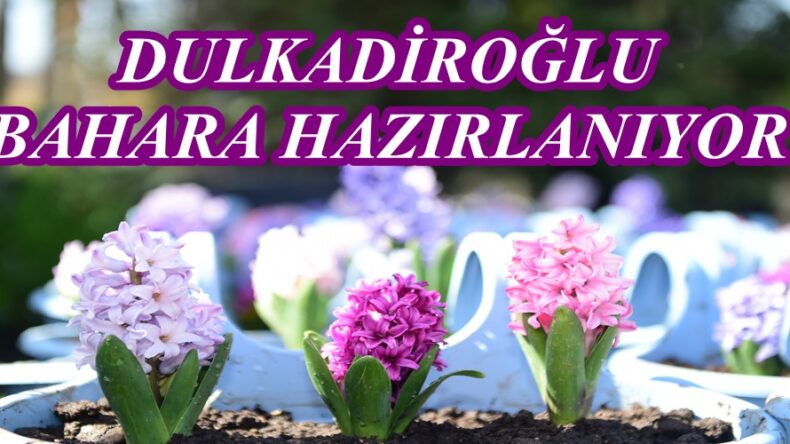 DULKADİROĞLU BAHARA HAZIRLANIYOR