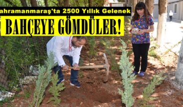 Kahramanmaraş’ta 2500 Yıllık Gelenek. Bahçeye Gömdüler!