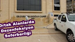 Ortak Alanlarda Dezenfeksiyon Seferberliği