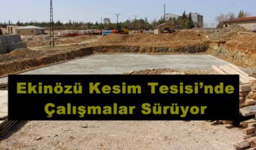 Ekinözü Kesim Tesisi’nde Çalışmalar Sürüyor!