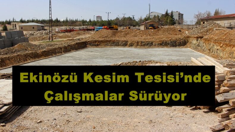 Ekinözü Kesim Tesisi’nde Çalışmalar Sürüyor!