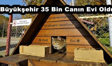 Büyükşehir 35 Bin Canın Evi Oldu!