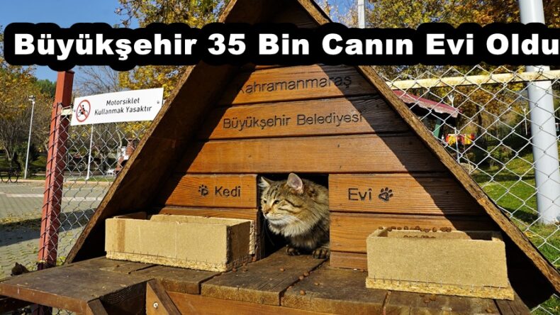 Büyükşehir 35 Bin Canın Evi Oldu!