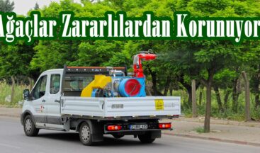 Ağaçlar Zararlılardan Korunuyor.